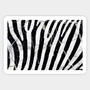 marble zebra Sticker